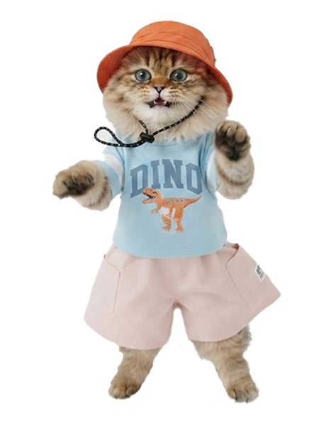 cat image