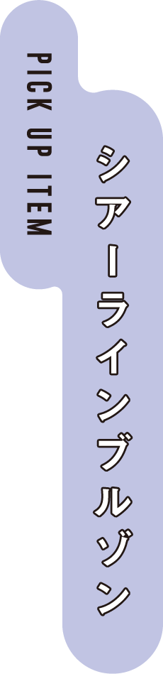 PICK UP ITEM シアーラインブルゾン