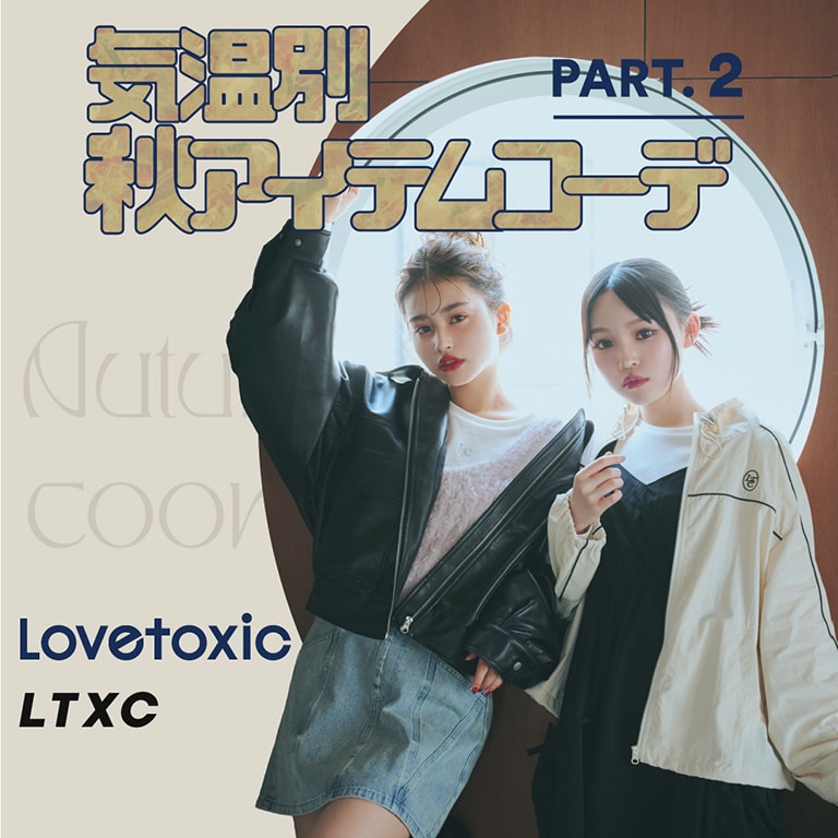 LTダンボール