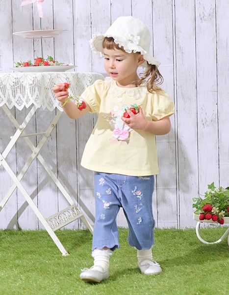 Spring Collection 2026