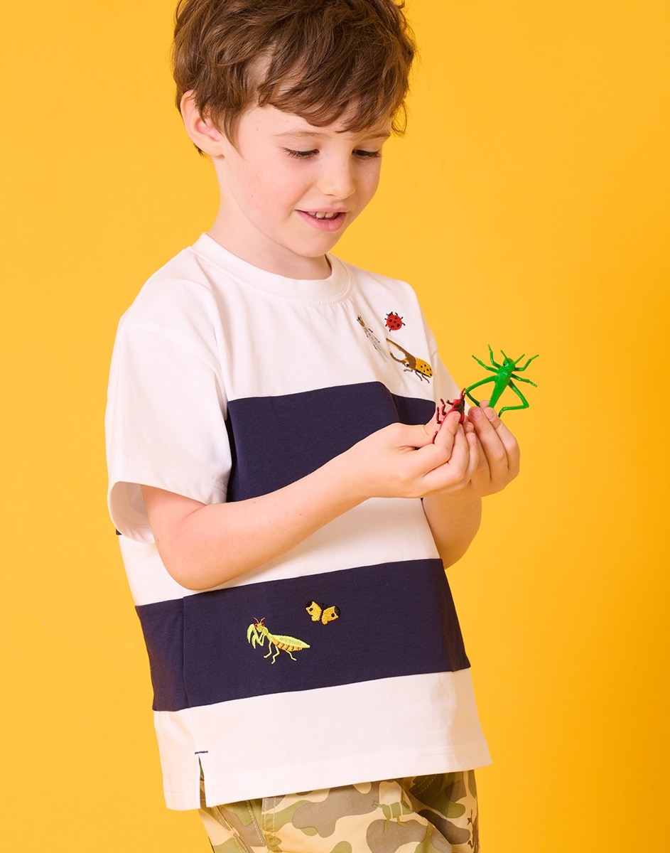 kladskap 2026 SUMMER INSECT COLLECTION