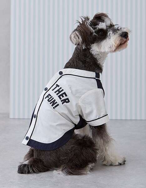 petit main spring dog collection 2025.4