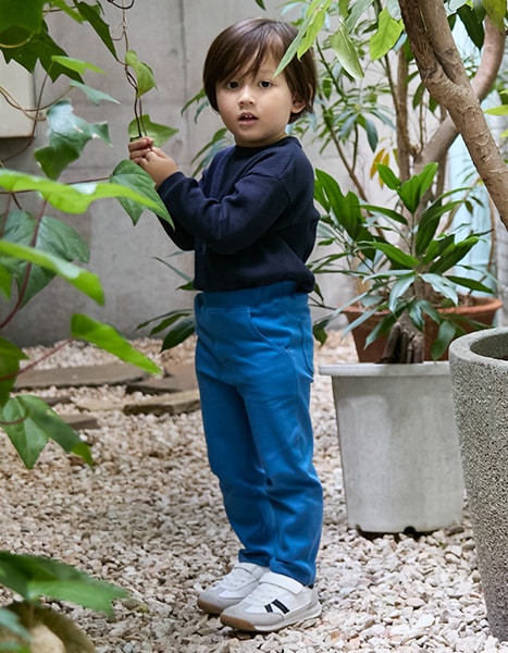 petit main Lee Collection 2025.9