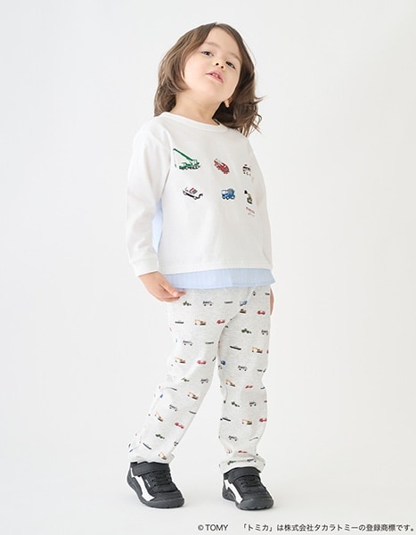 petit main TOMICA・ANIA collection 2026.1