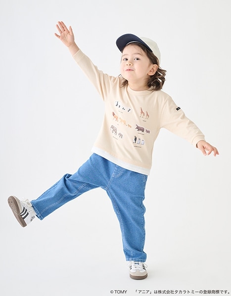 petit main TOMICA・ANIA collection 2026.1