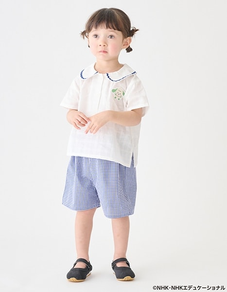 petit main いないいないばあっ！ collection 2026.4