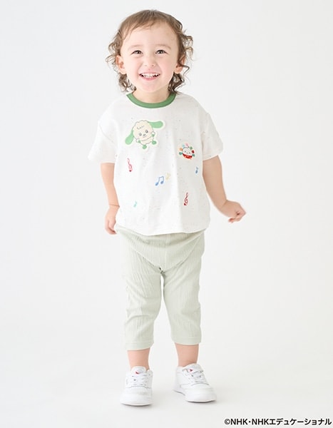 petit main いないいないばあっ！ collection 2026.4