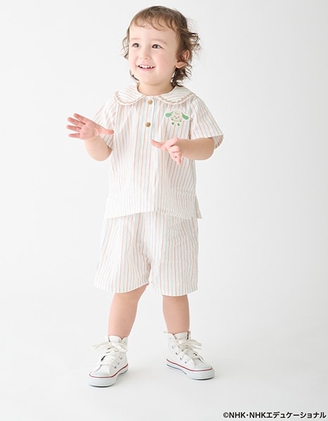 petit main いないいないばあっ！ collection 2026.4