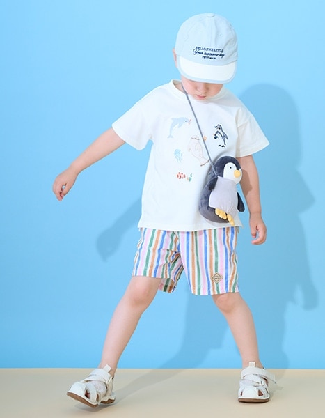 petit main 水族館 collection 2026.6