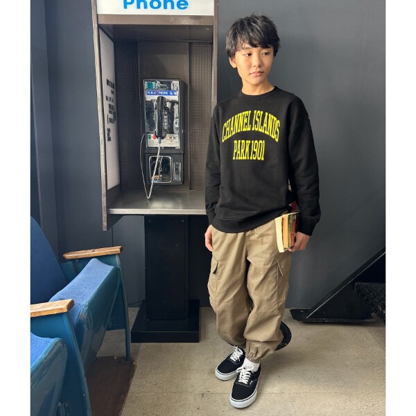 3733106