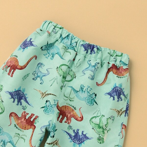 専用 遠慮なく 恐竜 パンツ 2枚 サイズ100 