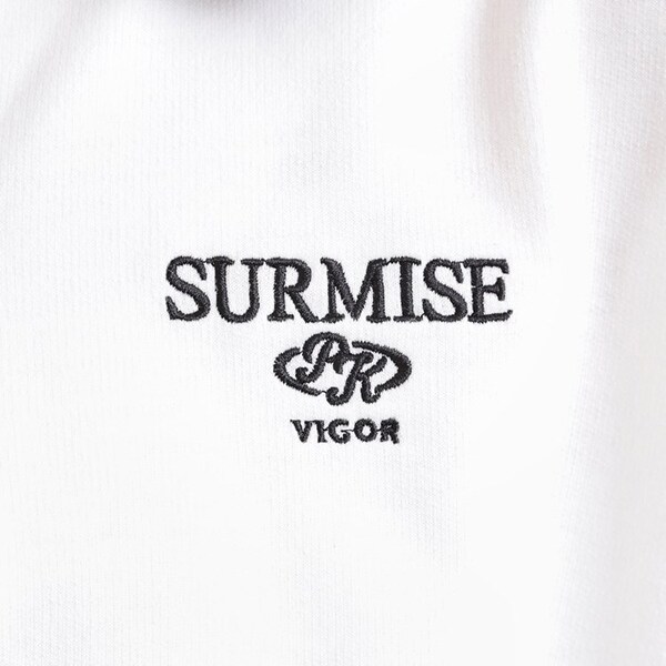 6751309