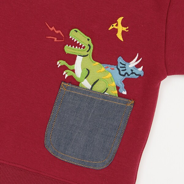 ポケットから恐竜裏シャギートレーナー