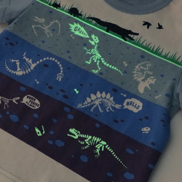 【科博】恐竜化石地層半袖Tシャツ