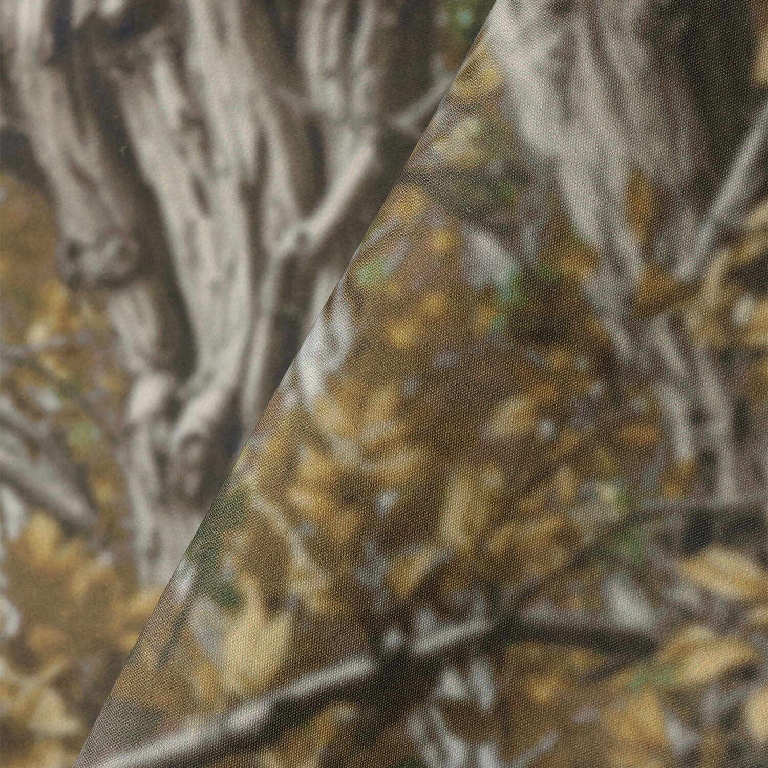 3753116