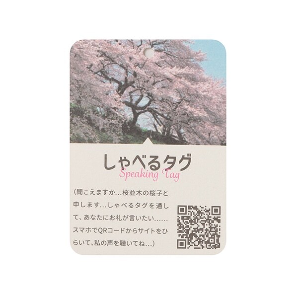8423209