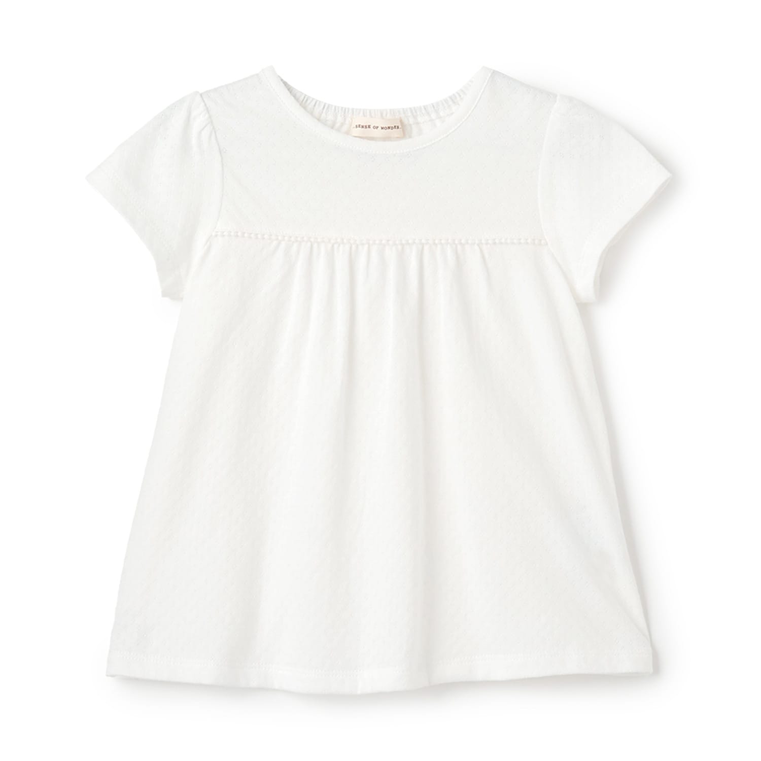 レーシー天竺Tシャツ