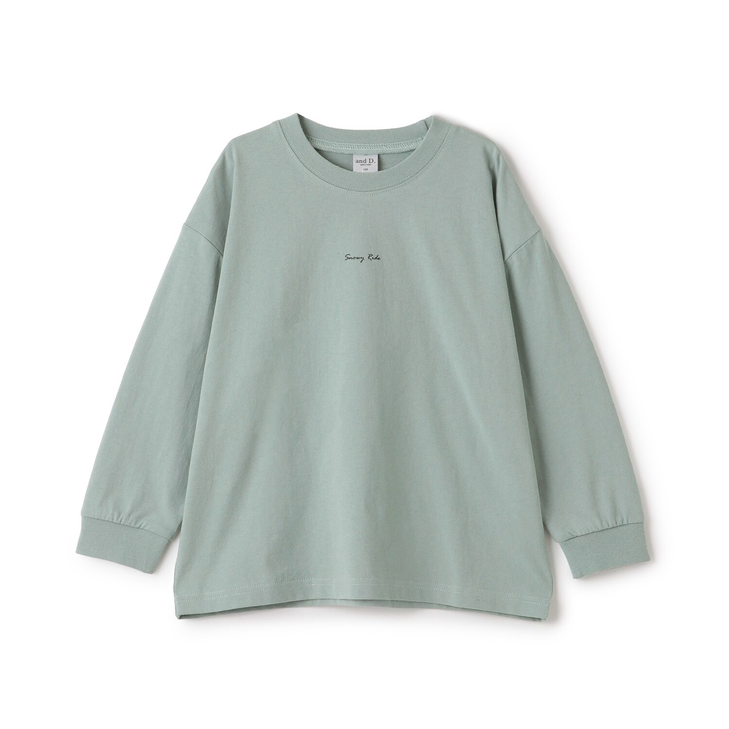 【USAコットン】バックフォトワイドロンT