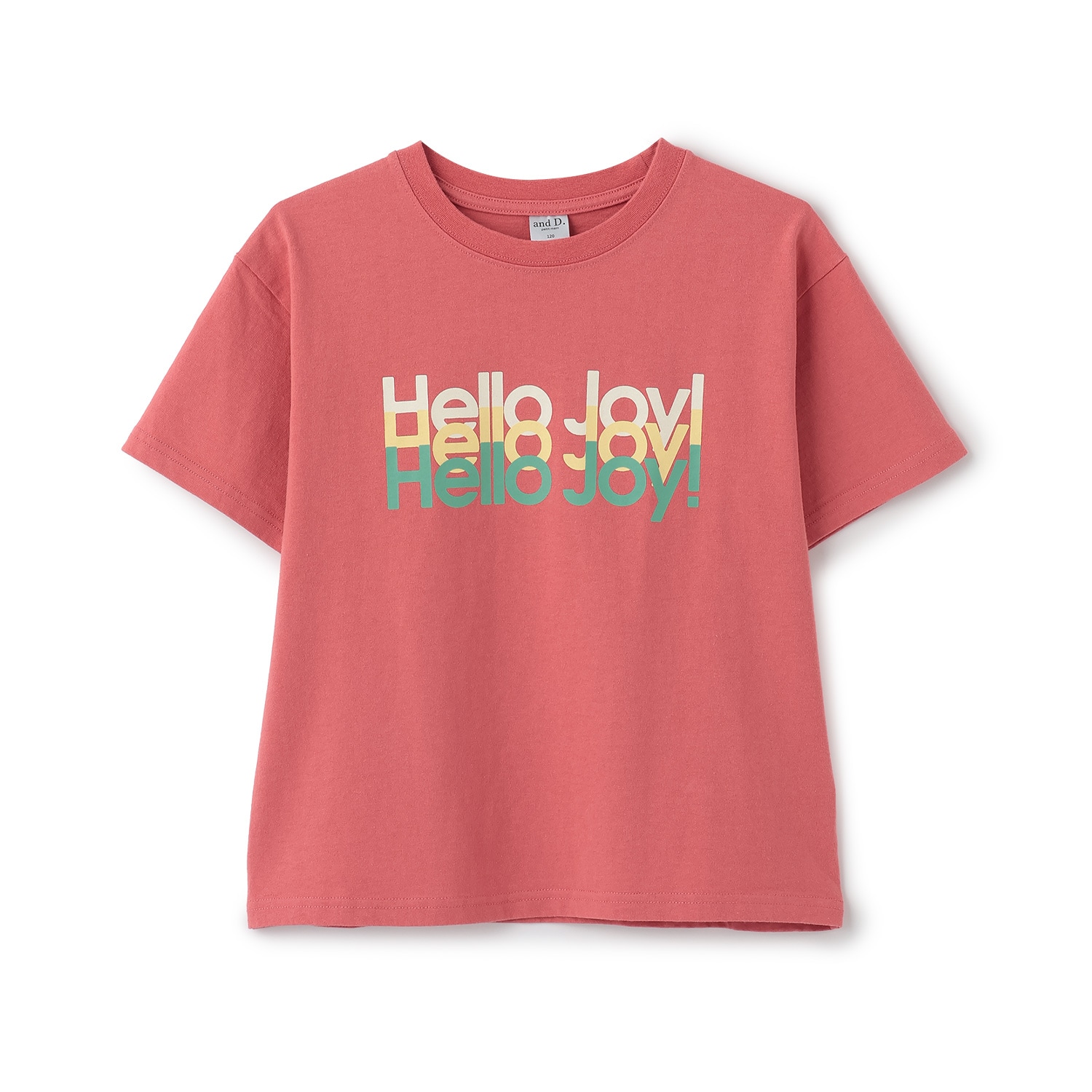 USED風加工ロゴ半袖T