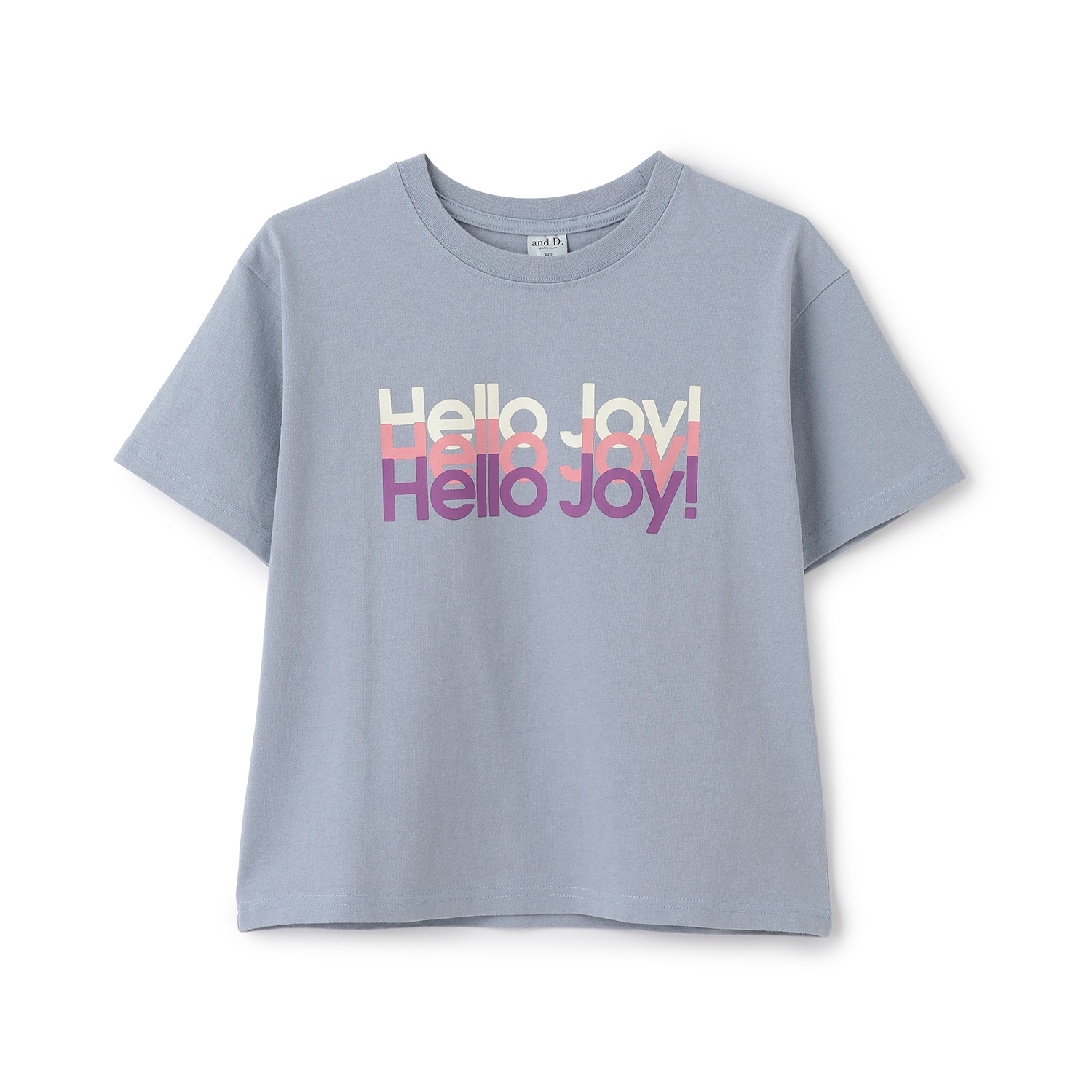 USED風加工ロゴ半袖T