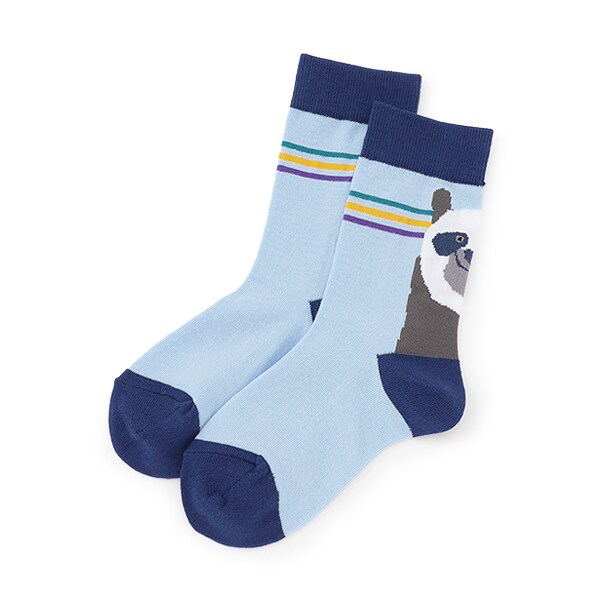 SHINee  靴下＆マグネット くま・ラインクルーソックス2P(SS(11-13cm) イエロー グリーン