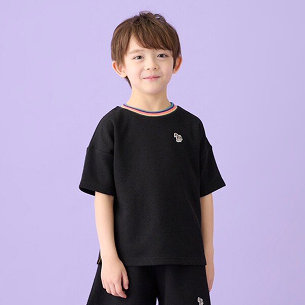 アーティストストライプリブ半袖Tシャツ