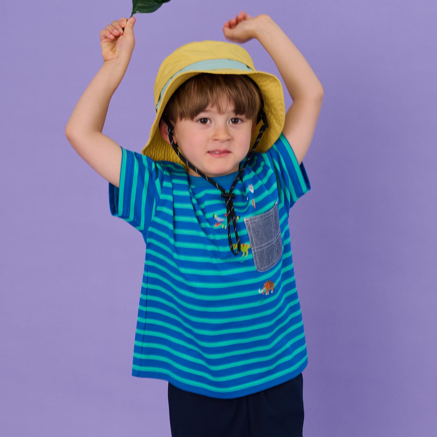 太古の生きものボーダー半袖Tシャツ