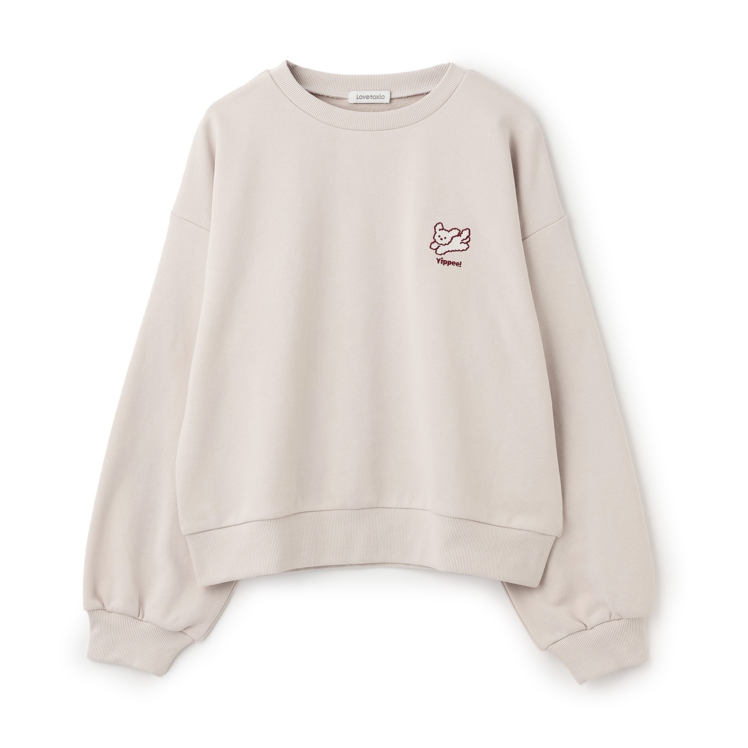 アニマル刺しゅうベーシックトレーナー