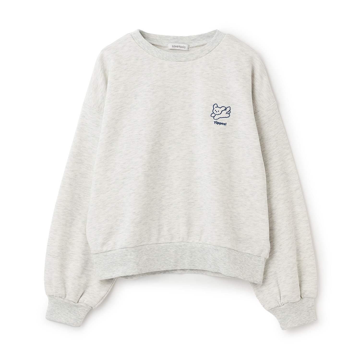 アニマル刺しゅうベーシックトレーナー