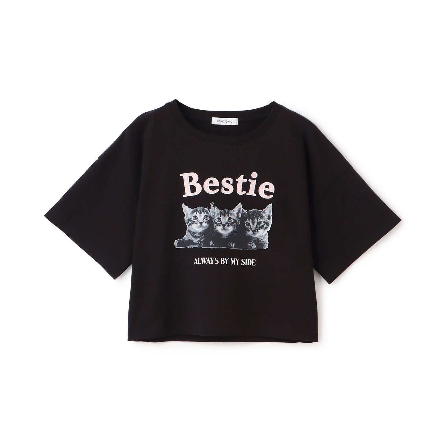 【綿100%】キャットモチーフフォト半T