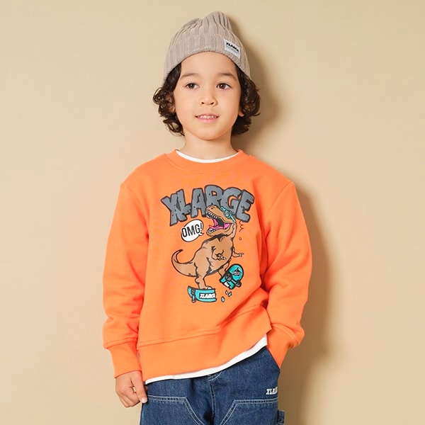 スケートダイナソートレーナー(80cm グレー): キッズ - ナルミヤ