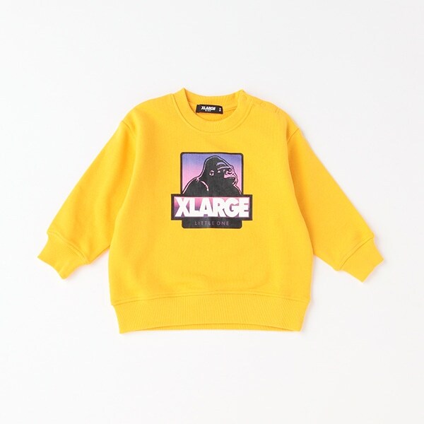 配色風景柄ボックスOGゴリラトレーナー