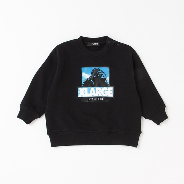 配色風景柄ボックスOGゴリラトレーナー