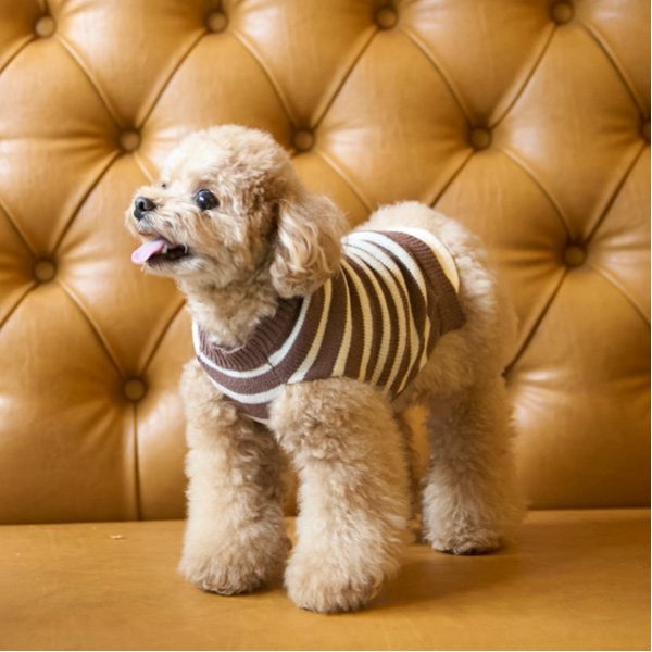 ナイルパーチ1点物リボンガールニットミルクリーム メタモルフォーゼ リンク】【DOG】ボーダーニットタンク(S モカ茶): キッズ