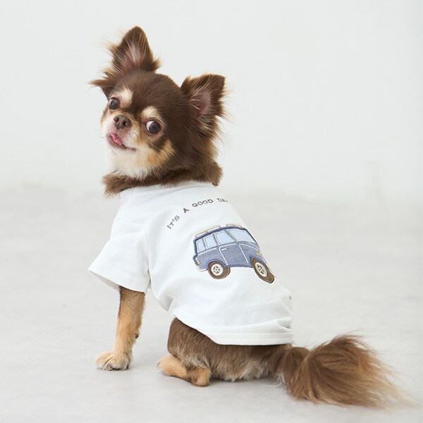 【リンク】【DOG】乗り物アップリケTシャツ