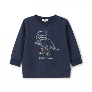 恐竜刺しゅう長袖Tシャツ