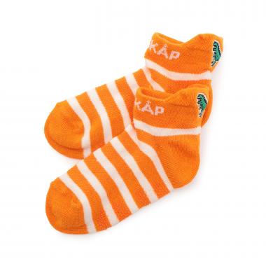 恐竜刺しゅうボーダースニーカーインソックス