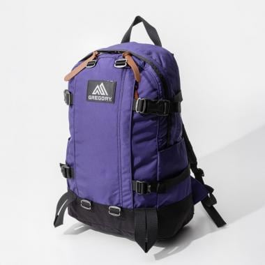 【GREGORY】グレゴリー ALL DAY V2.1 22L バックパック リュック