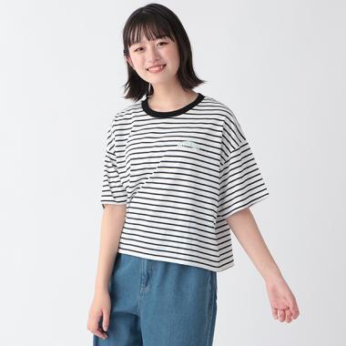 ボーダー短丈半T
