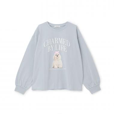 【綿100%】グラフィックアソート長袖T