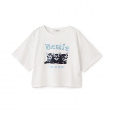 【綿100%】キャットモチーフフォト半T