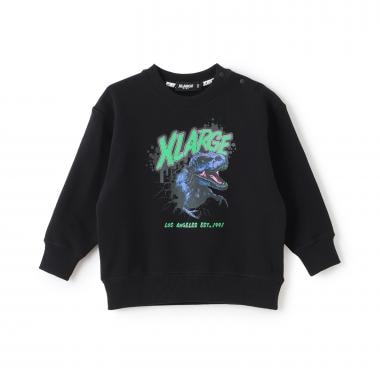 ダイナソートレーナー