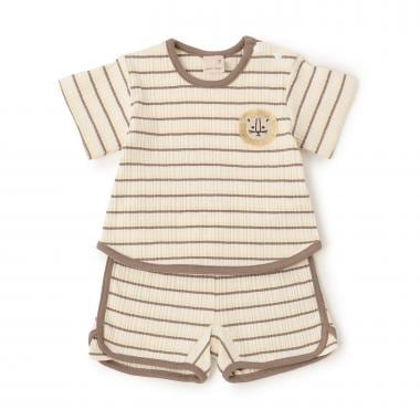 マルチボーダーセットアップ