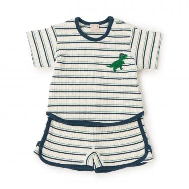 マルチボーダーセットアップ