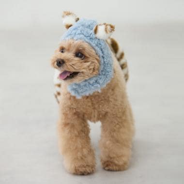 【DOG】（節分）鬼なりきりパンツ