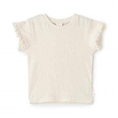 カット楊柳Tシャツ