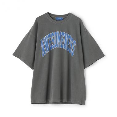 【ヘビーウェイト天竺】ピグメントカレッジロゴTシャツ