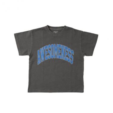 【SKIT0LY】【ヘビーウェイト天竺】ピグメントカレッジプリントTシャツ