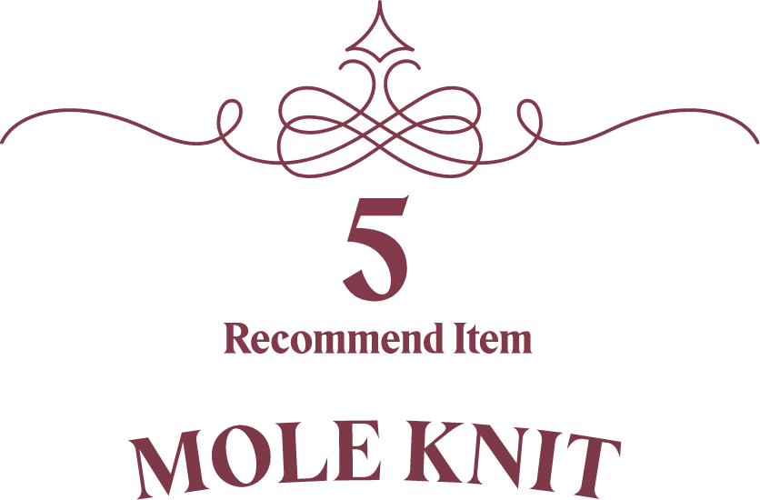 Recommend Item 5 - MOLE KNIT
