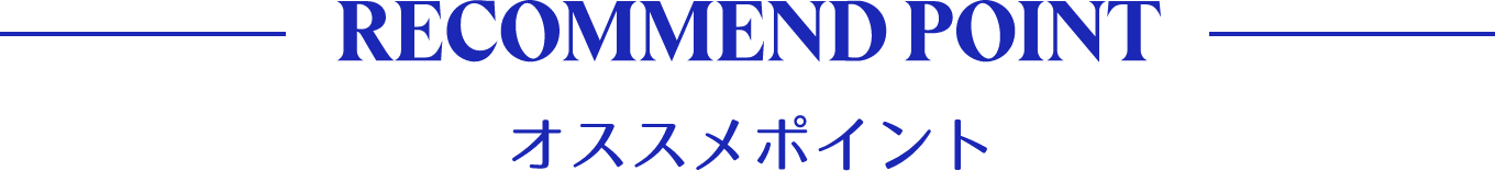- RECOMMEND POINT - オススメポイント